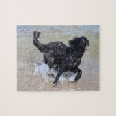 Kikkerhond | Zwarte labrador Splashing in water Legpuzzel (Horizontaal)