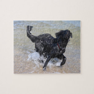 Kikkerhond   Zwarte labrador Splashing in water Legpuzzel