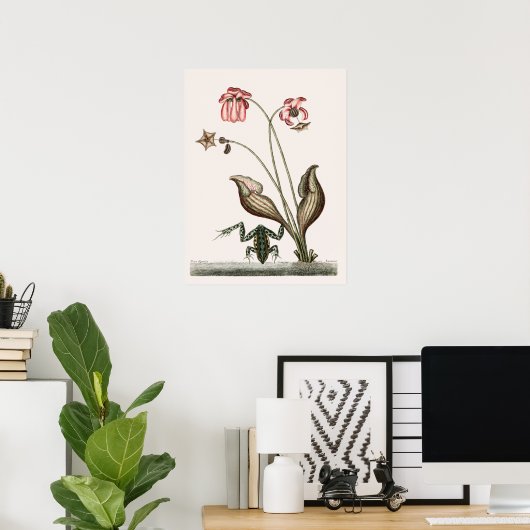  kikkerillustratie poster (Thuiskantoor)