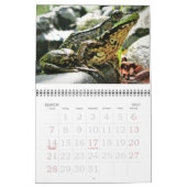 Kikkerkalender 2015 kalender (Mar 2027)
