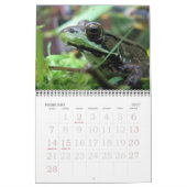 Kikkerkalender 2015 kalender (Feb 2027)