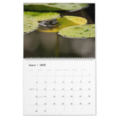 Kikkerkalender 2025 kalender (Mar 2025)