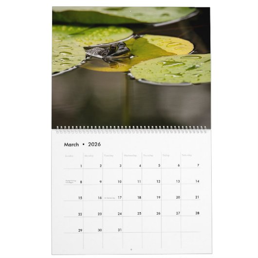 Kikkerkalender 2025 kalender (Mar 2026)