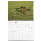 Kikkerkalender 2025 kalender (Feb 2027)