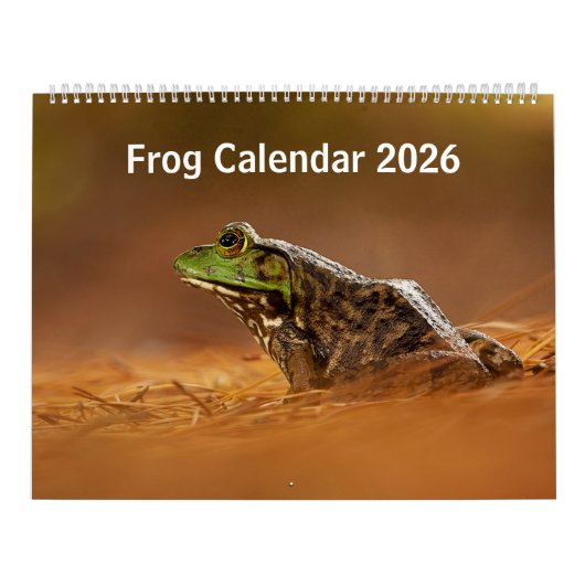 Kikkerkalender 2025 kalender (Hoes)