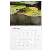 Kikkerkalender 2025 kalender (Mar 2027)