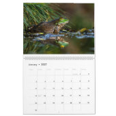 Kikkerkalender 2025 kalender (Jan 2027)