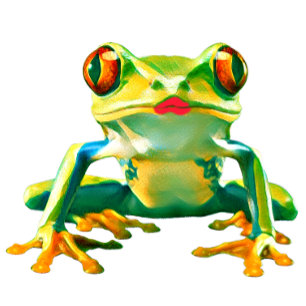 Kikkerkus lippenstift t-shirt