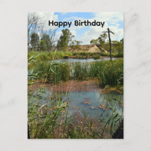 Kikkermoerasparadijs Riverland Australië, Briefkaart