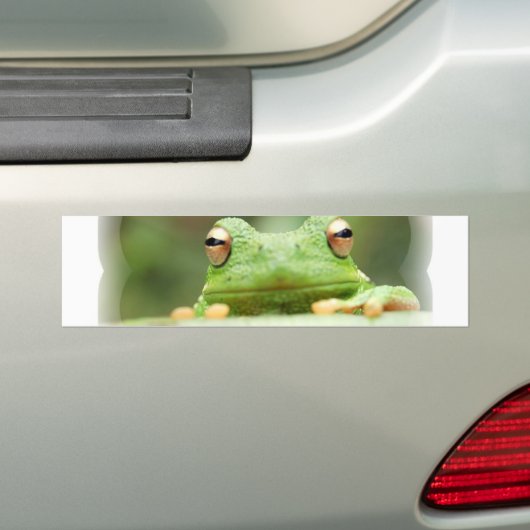 Kikkerogen Bumpersticker (Op auto)