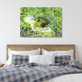 Kikkerogen Canvas Afdruk (Insitu (Slaapkamer))