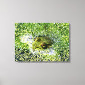 Kikkerogen Canvas Afdruk (Voorkant)