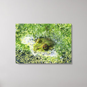 Kikkerogen Canvas Afdruk