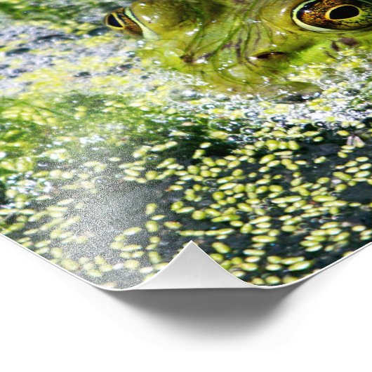 Kikkerogen Foto Afdruk (Hoek)