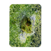 Kikkerogen in een hond magneet (Verticaal)