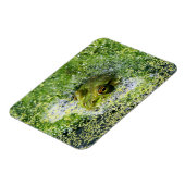 Kikkerogen in een hond magneet (Linkerzijde)