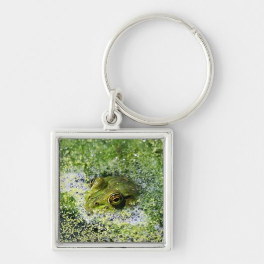 Kikkerogen in een hond sleutelhanger (Voorkant)