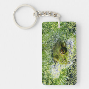 Kikkerogen in een hond sleutelhanger