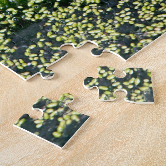 Kikkerogen Legpuzzel (Zijkant)