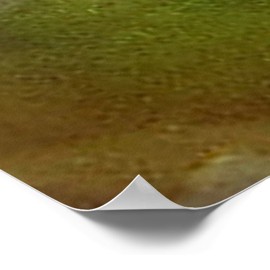 Kikkeroog Poster (Hoek)