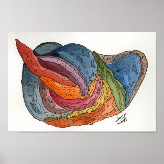 Kikkerpaal Poster (Voorkant)