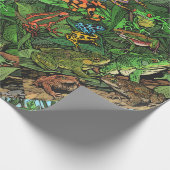 Kikkerpapier Cadeaupapier (Hoek)