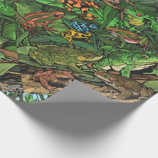 Kikkerpapier Cadeaupapier (Hoek)