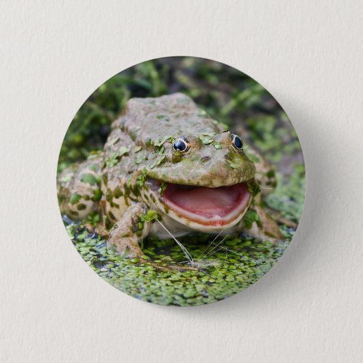 Kikkerprins Badge Ronde Button 5,7 Cm (Voorkant)