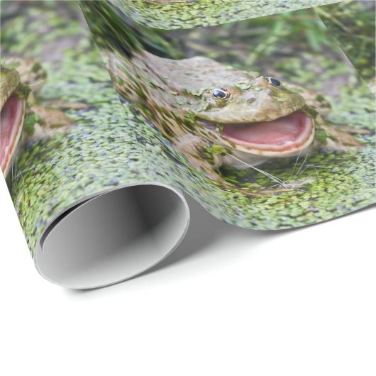 Kikkerprins Inpakpapier (Rol Hoek)