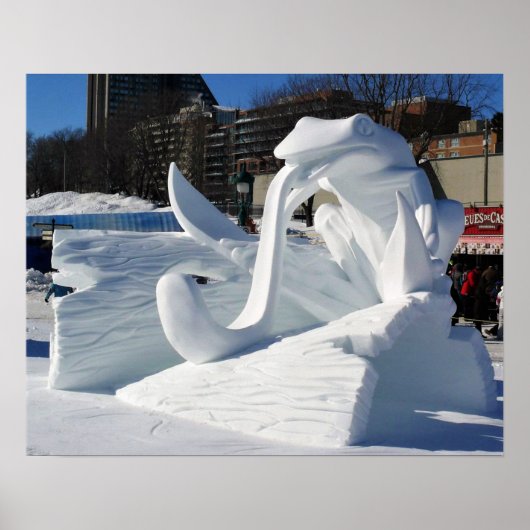 Kikkerptuur, Quebec, Canada Poster (Voorkant)