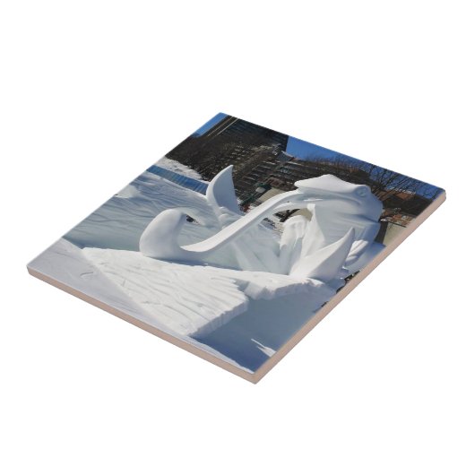 Kikkerptuur, Quebec, Canada Tegeltje (Zijkant)