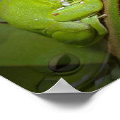 Kikkerreflecties afdrukken poster (Hoek)