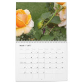 Kikkers 2009 kalender (Mar 2027)