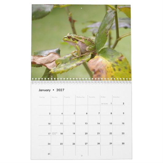 Kikkers 2009 kalender (Jan 2027)