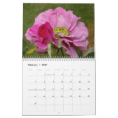 Kikkers 2009 kalender (Feb 2027)