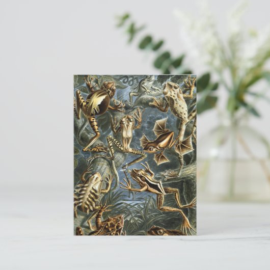 Kikkers Briefkaart (Staand voorkant)