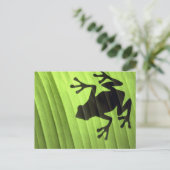 Kikkers Briefkaart (Staand voorkant)