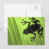 Kikkers Briefkaart (Voorkant / Achterkant)