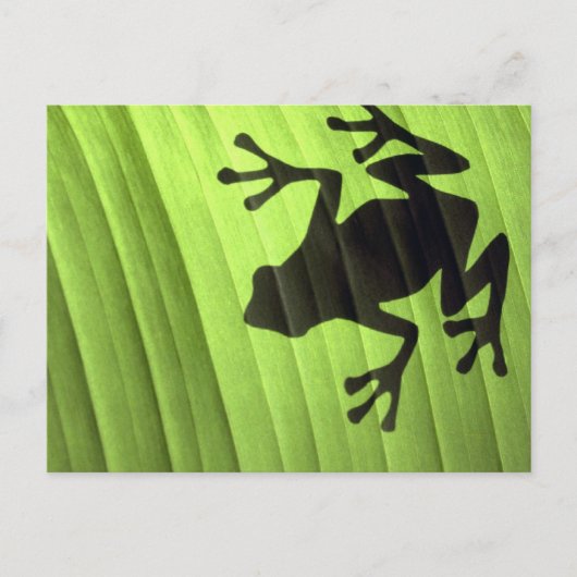 Kikkers Briefkaart (Voorkant)