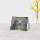 Kikkers, de Verjaardag van de Kleinzoon Kaart (Gele Bloem)