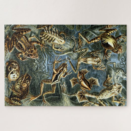  kikkers door Ernst Haeckel Legpuzzel (Horizontaal)