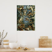 kikkers door Ernst Haeckel Poster (Keuken)