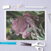 Kikkers en diamanten1 tissuepapier (Craft)