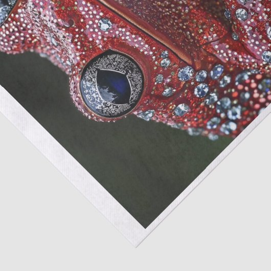 Kikkers en diamanten6 tissuepapier (Detail)