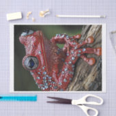 Kikkers en diamanten6 tissuepapier (Craft)