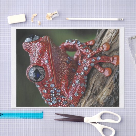 Kikkers en diamanten6 tissuepapier (Craft)