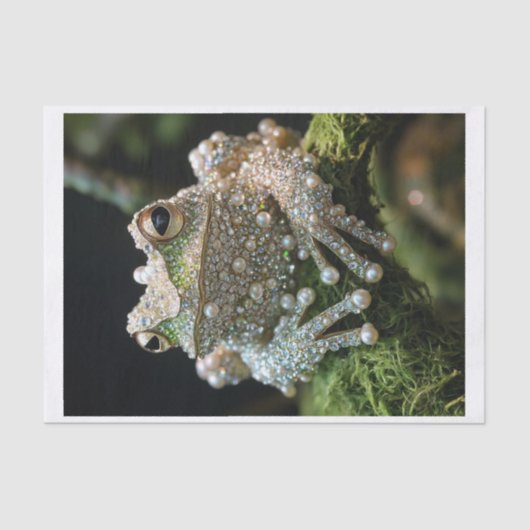 Kikkers en diamanten9 tissuepapier (Voorkant)