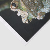 Kikkers en diamanten9 tissuepapier (Detail)