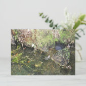 Kikkers en kikkers in een aanhaling voor honden kaart (Staand voorkant)