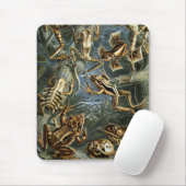 Kikkers en kussens muismat (Met muis)